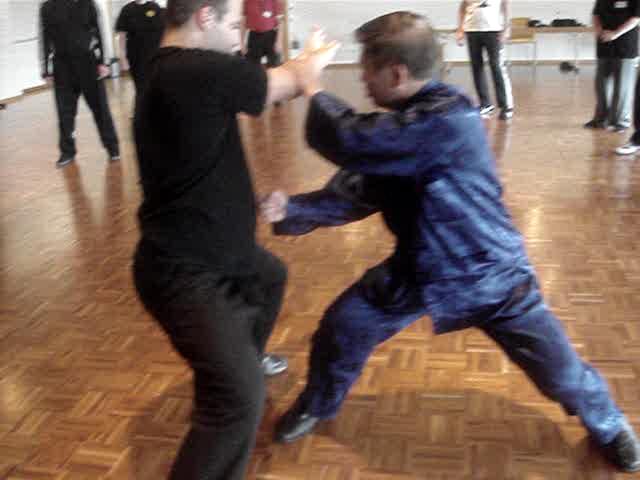 Wudang Taijiquan