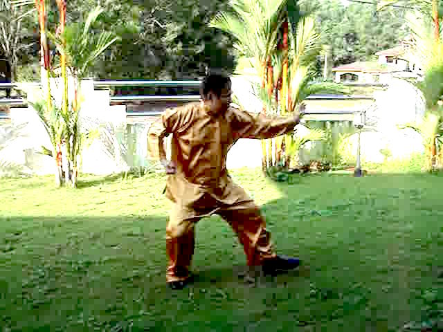 Wuzuquan