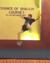 Essence of Shaolin