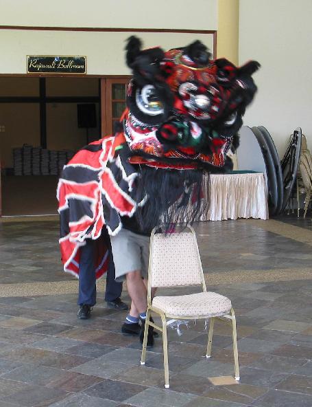 Lion Dance performance