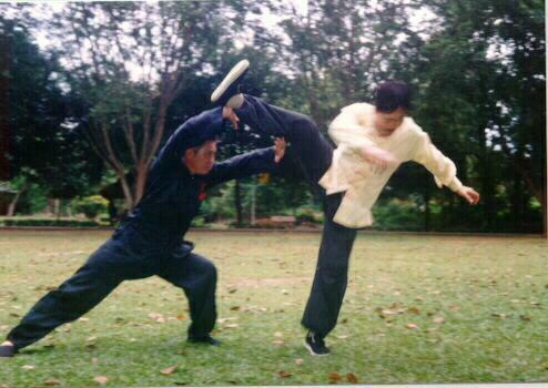 Taijiquan Tai Chi Chuan