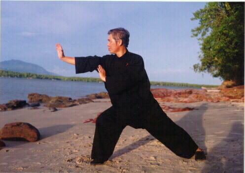 Taijiquan Tai Chi Chuan