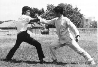 kungfu sparring