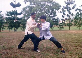 Combat Application of Taijiquan