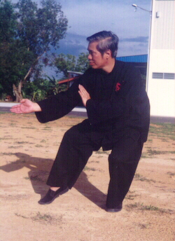 Shaolin Kung Fu