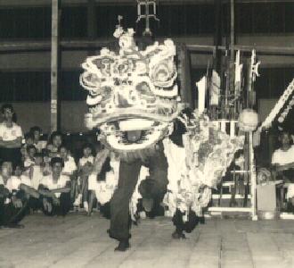 Lion Dance