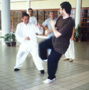 Combat Application of Taijiquan