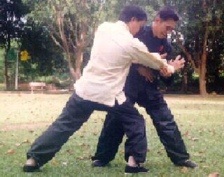 Taijiquan Shoulder Throw