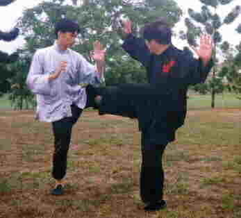 Taijiquan combat