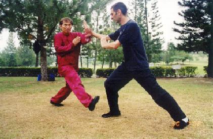 Taijiquan combat