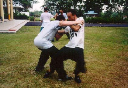 Taijiquan combat