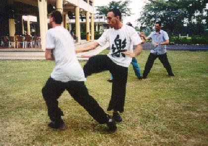 Taijiquan combat