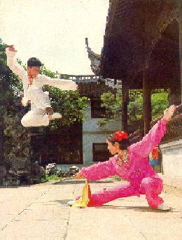 Wushu