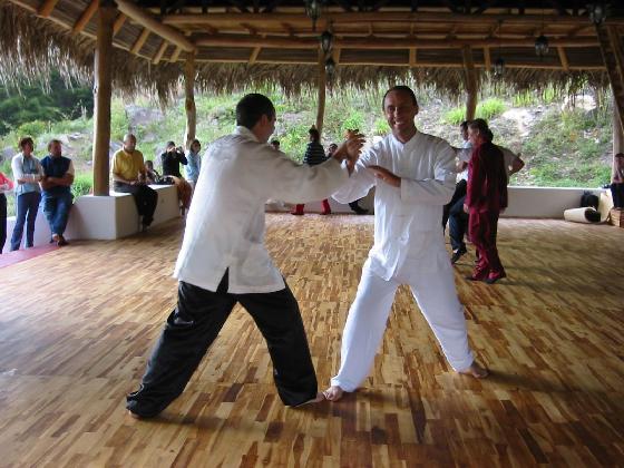 Taijiquan sparring