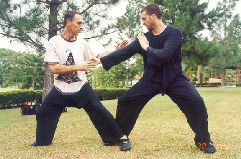 Taijiquan combat sequence