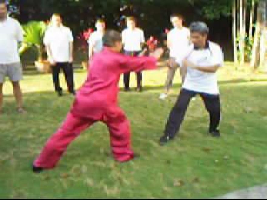 Taijiquan combat sequence