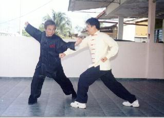 Wave Technique in Choy-Li-Fatt