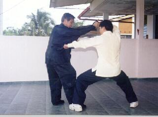 Flowing aspect of Taijiquan