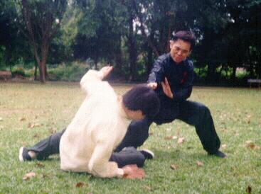 Intensive Taijiquan Courses