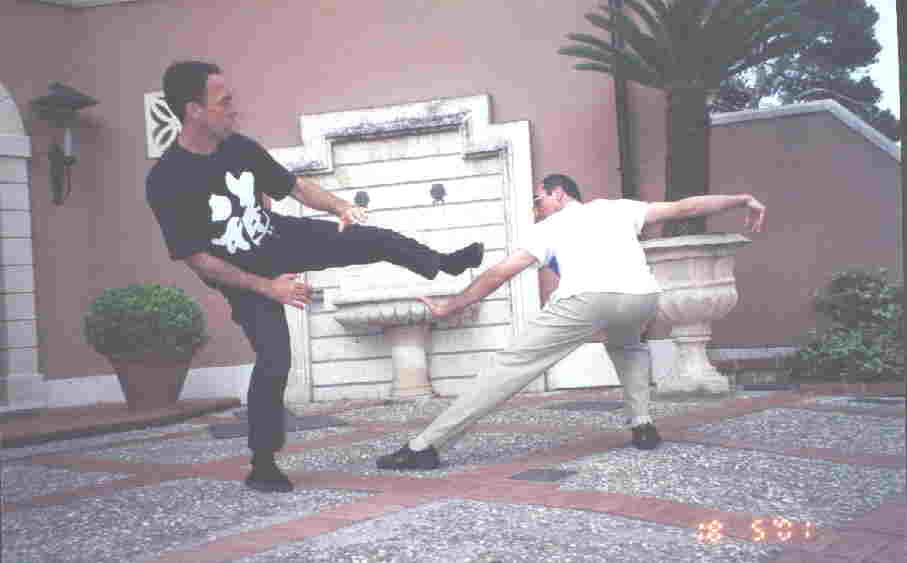 Taijiquan Pushing Hands