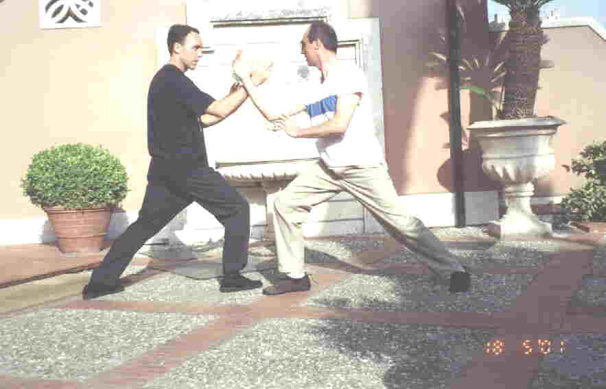 Taijiquan Striking Hands