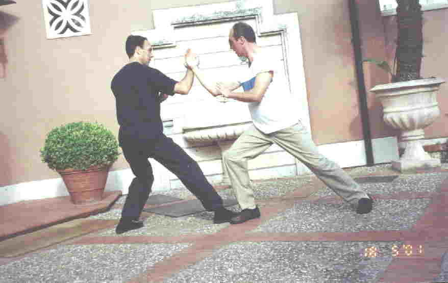 Taijiquan Pushing Hands