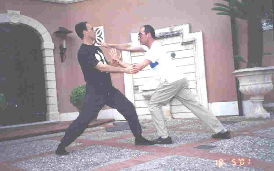 Taijiquan Pushing Hands