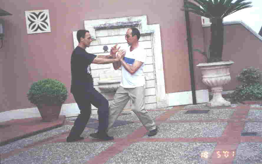 Taijiquan Pushing Hands