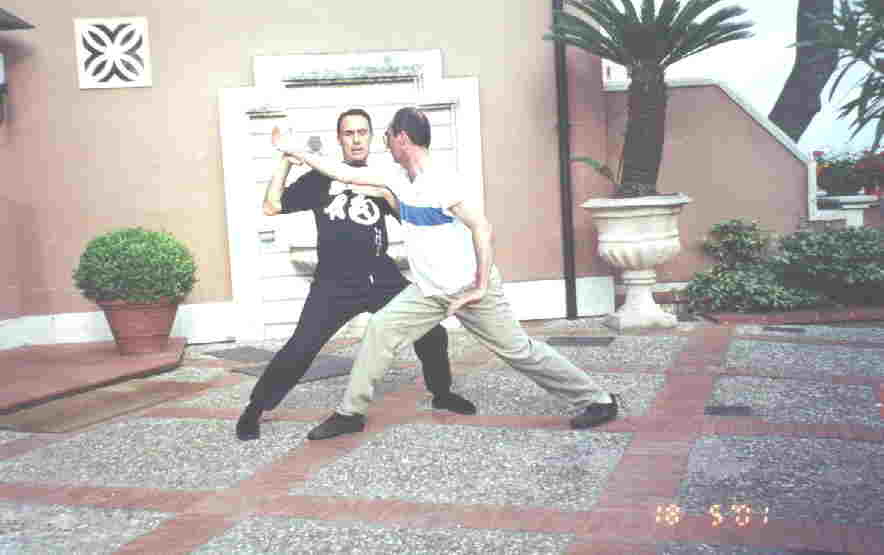 Taijiquan Striking Hands