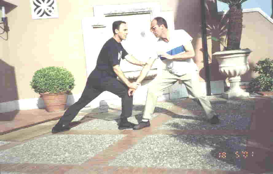 Taijiquan Pushing Hands