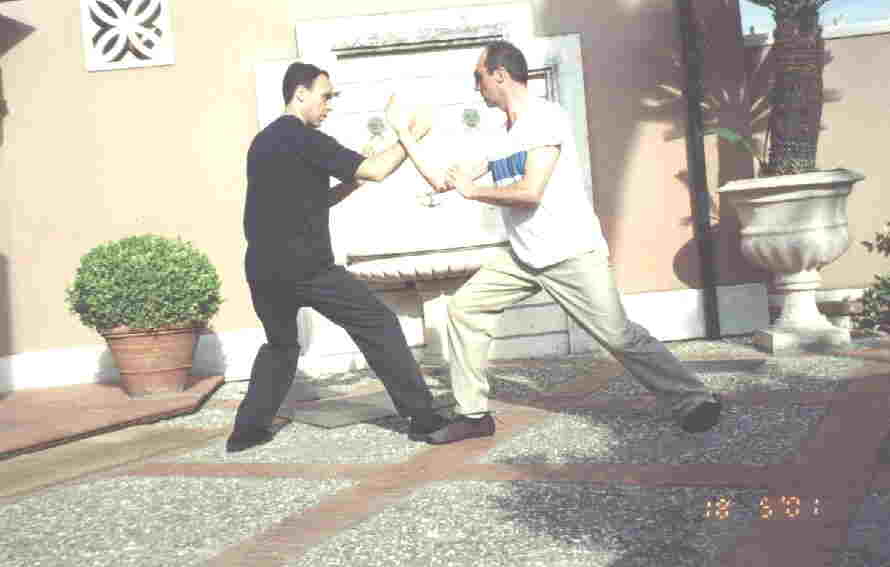 Taijiquan Pushing Hands