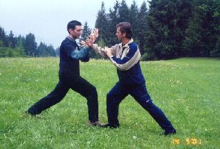 Taijiquan Pushing Hands