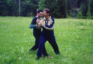 Taijiquan Pushing Hands