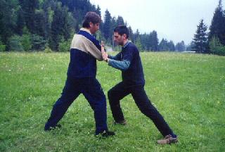 Taijiquan Pushing Hands