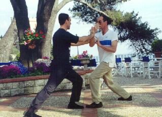 Taijiquan Pushing Hands