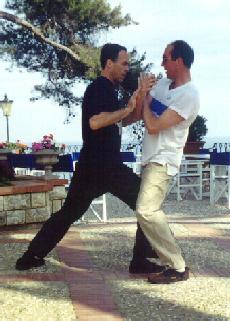 Taijiquan Pushing Hands