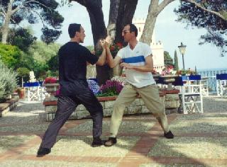 Taijiquan Pushing Hands