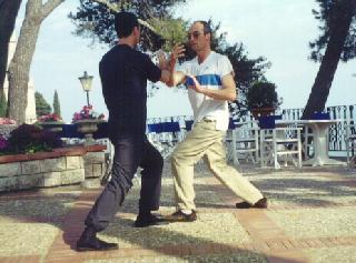 Taijiquan Pushing Hands