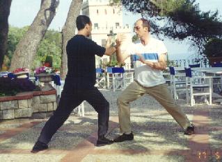 Taijiquan Pushing Hands