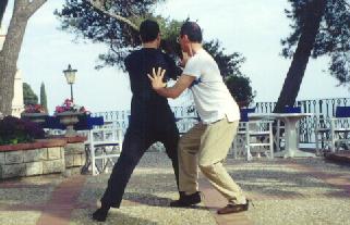 Taijiquan Pushing Hands