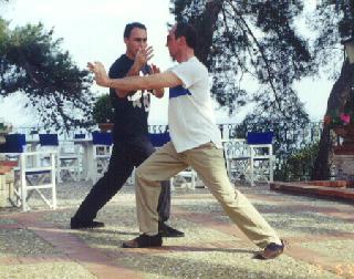 Taijiquan Pushing Hands