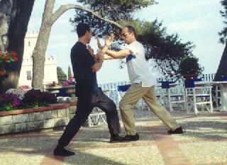 Taijiquan Pushing Hands