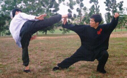 Taijiquan in combat