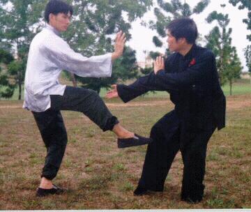 Low Kick