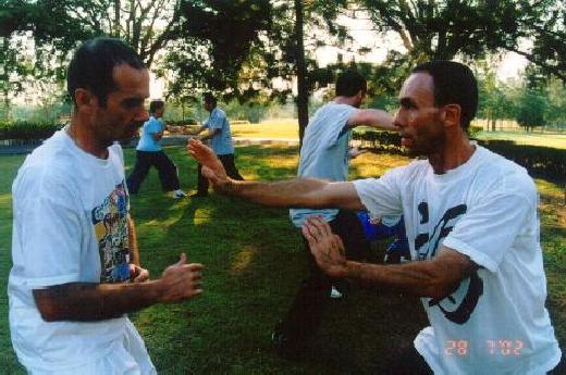 Taijiquan Striking Hands