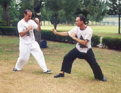 Taijiquan Sparring against Western Boxing