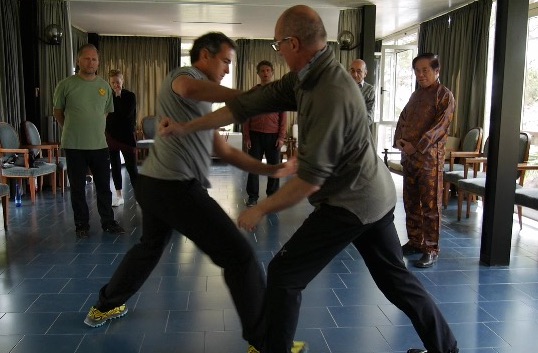 Taijiquan Combat