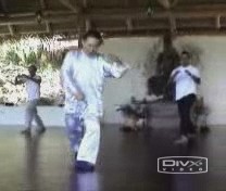 Taijiquan, Tai Chi Chuan