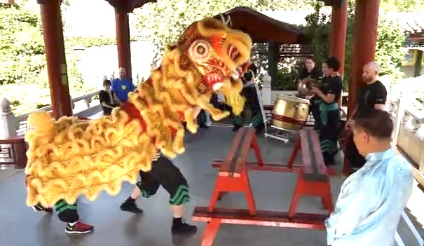 Lion Dance