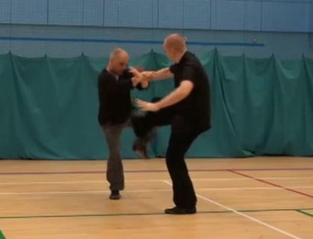 Xingyiquan combat application